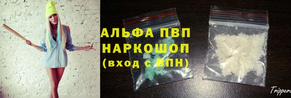 хмурый Белокуриха