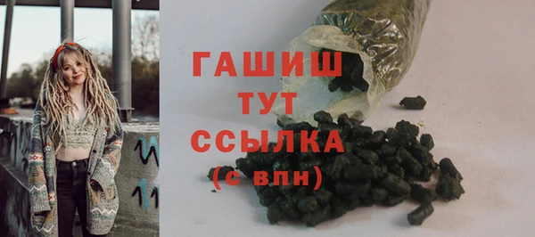 хмурый Белокуриха