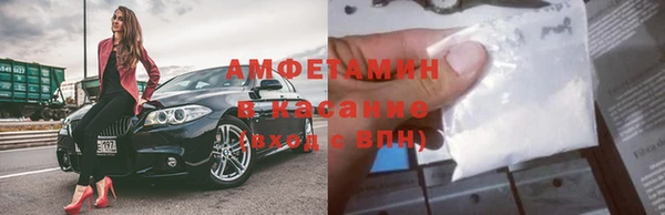 хмурый Белокуриха
