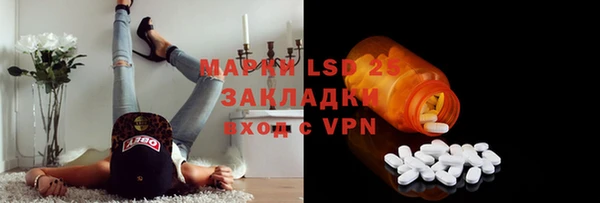 хмурый Белокуриха