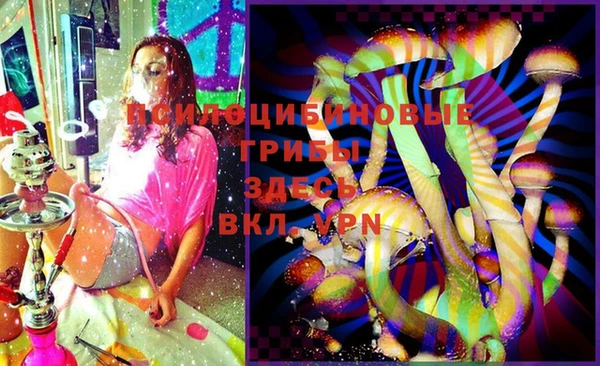 хмурый Белокуриха