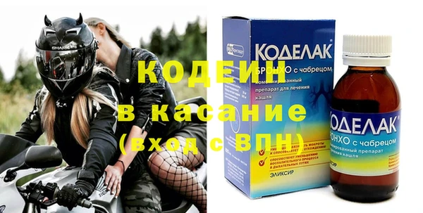 хмурый Белокуриха