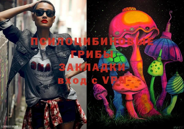 хмурый Белокуриха