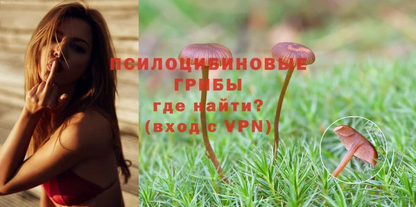 хмурый Белокуриха