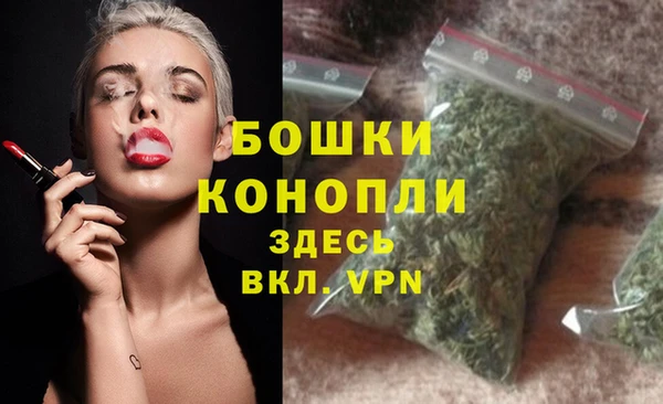 хмурый Белокуриха